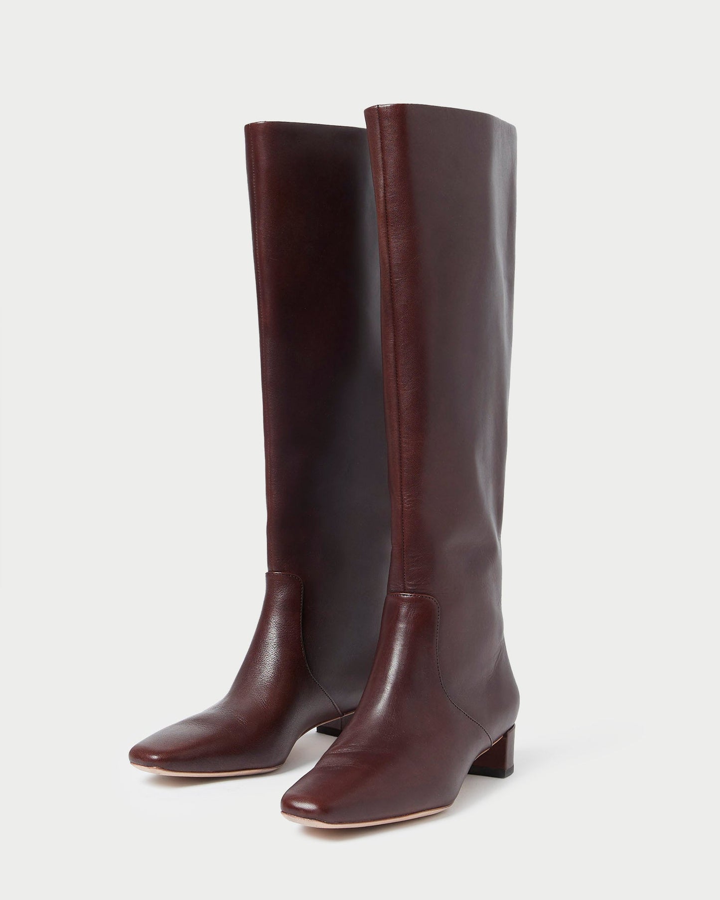 Loeffler Randall Indy Espresso Leather Tall Boot